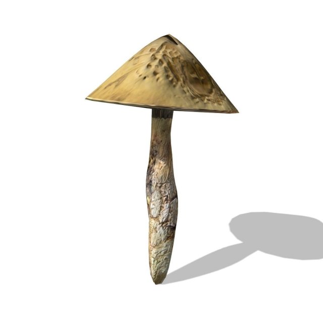 mushroom-00016 3D Model .c4d .max .obj .3ds .fbx .stl .blend 