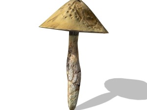 mushroom-00016 3Dモデル