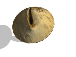 mushroom-00016 3D Model