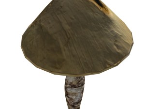 mushroom-00016 3D Model