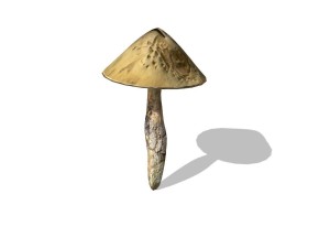 mushroom-00016 3D Model