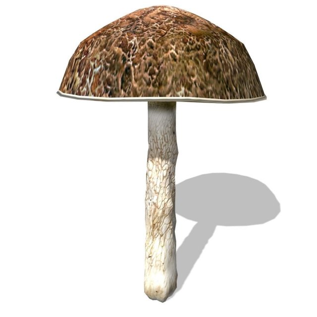 mushroom-00017 3D 모델 .c4d .max .obj .3ds .fbx .stl .blend 