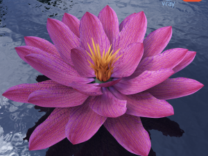 water lily - plant - 0001 Modello 3D