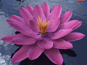 nen&uacute;far - planta - 0001 Modelo 3D