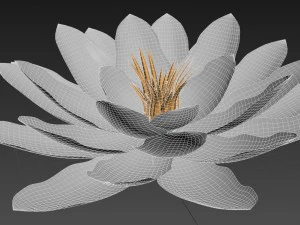 nen&uacute;far - planta - 0001 Modelo 3D