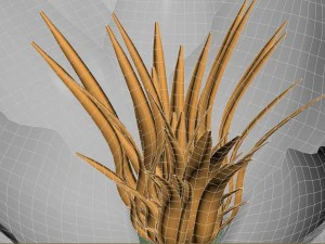 nen&uacute;far - planta - 0001 Modelo 3D