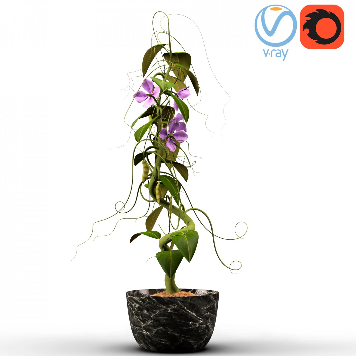 ervilhas - com anima&ccedil;&atilde;o Modelo 3D .c4d .max .obj .3ds .fbx .stl .blend 