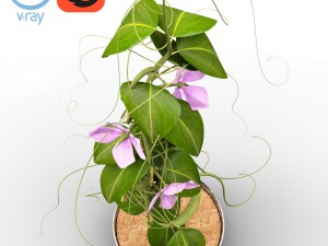 peas - with animation Modello 3D