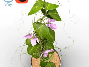 ervilhas - com anima&ccedil;&atilde;o Modelo 3D