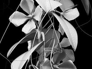 ervilhas - com anima&ccedil;&atilde;o Modelo 3D