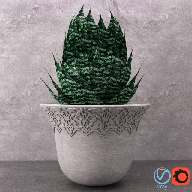 aloe in vase 3D Model .c4d .max .obj .3ds .fbx .stl .blend 