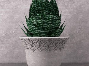 aloe in vase 3D Model
