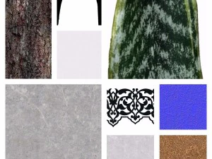 aloe em vaso Modelo 3D