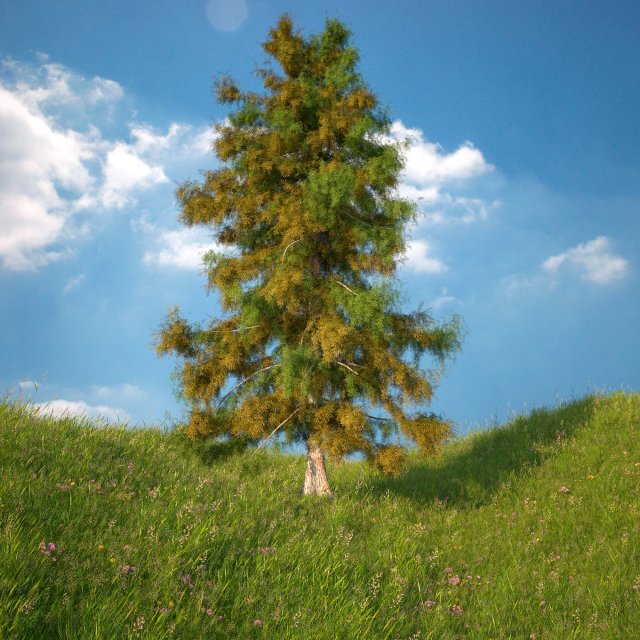 cedar tree no 1 3D-Modell .c4d .max .obj .3ds .fbx .stl .blend 