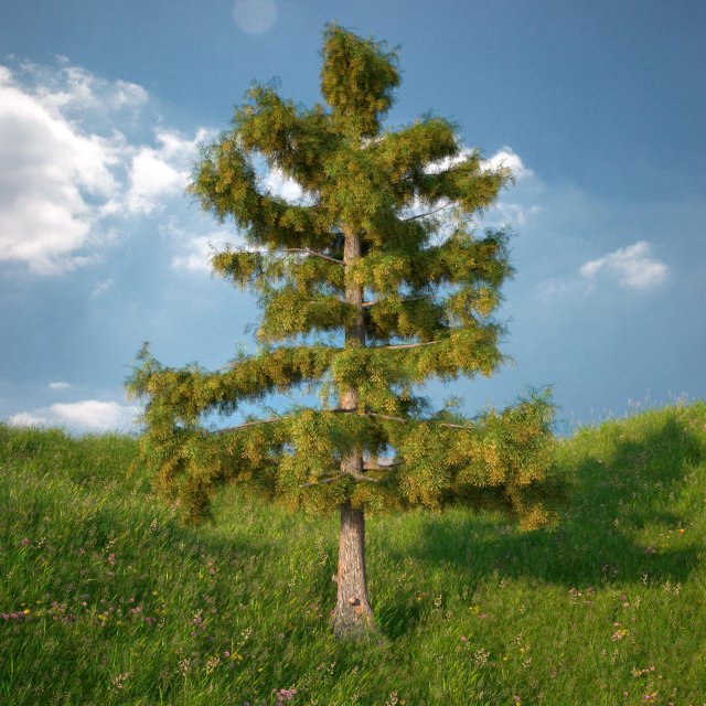 cedar tree no 2 Model 3D .c4d .max .obj .3ds .fbx .stl .blend 