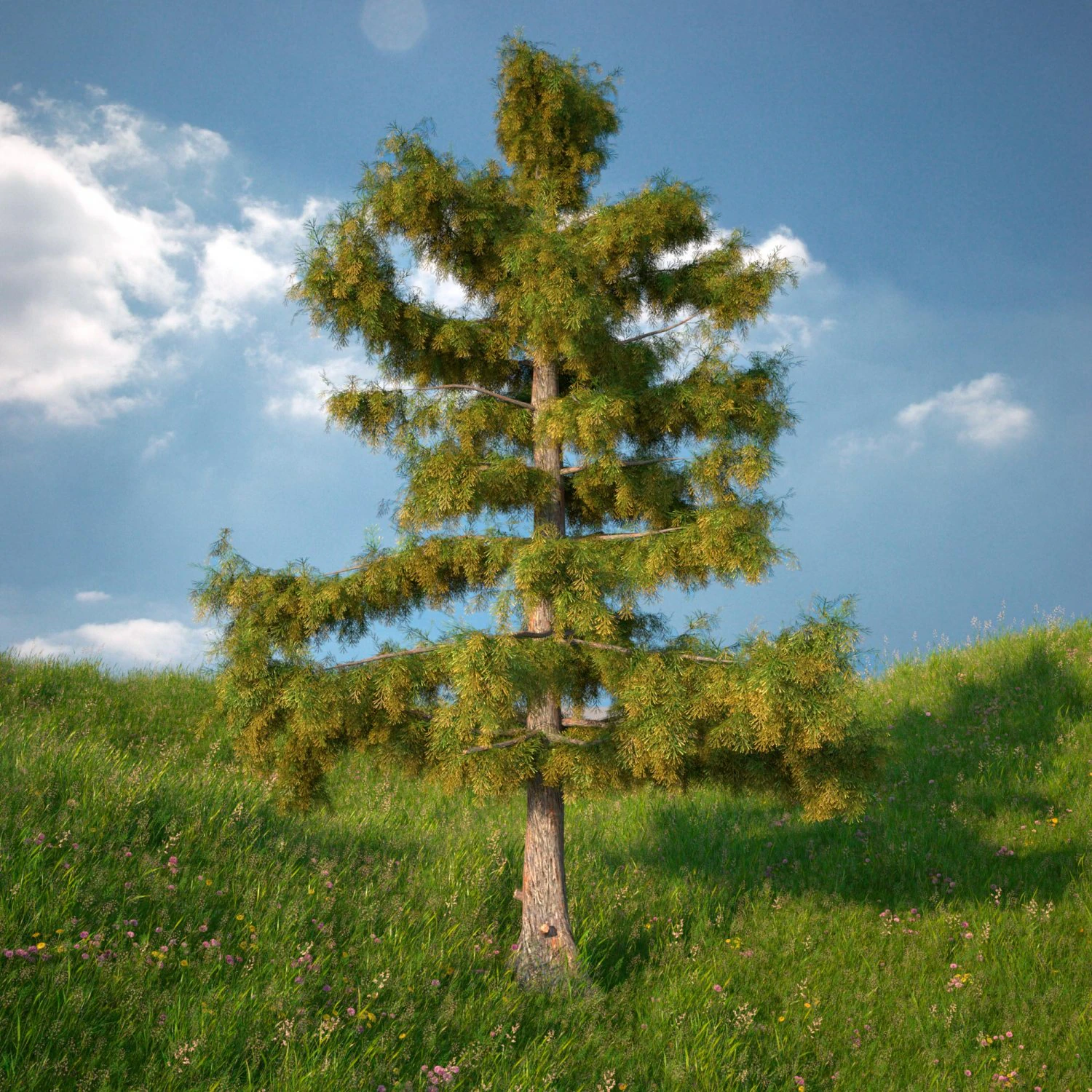 cedar tree no 2 3D Model .c4d .max .obj .3ds .fbx .stl .blend