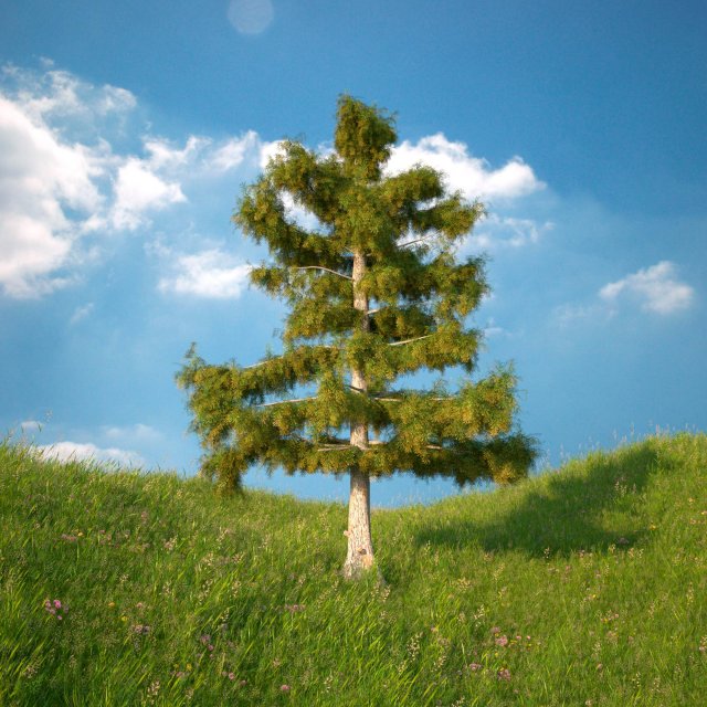 cedar tree no 4 3D Model .c4d .max .obj .3ds .fbx .stl .blend 