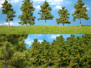 cole&ccedil;&atilde;o de &aacute;rvores de cedro 5 modelos Modelo 3D