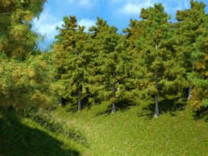 cedar tree collection 5 models 3D Model