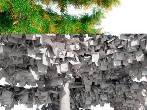 cedar tree collection 5 models 3D मॉडल
