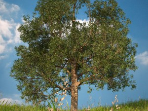 tree no 1 3D-Modell