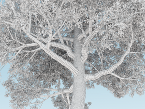 tree no 1 3Dモデル