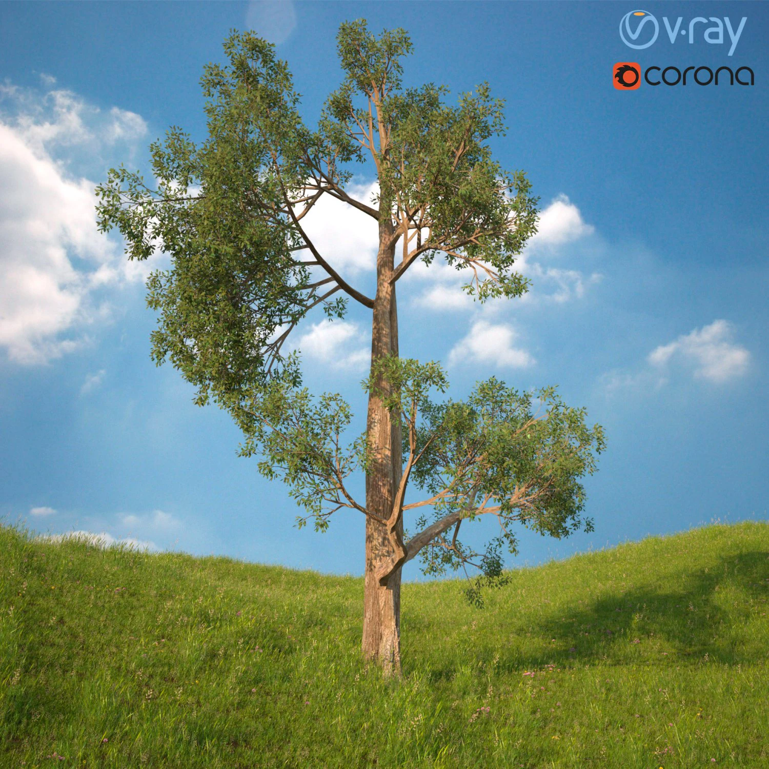 albero n.3 Modello 3D .c4d .max .obj .3ds .fbx .stl .blend 