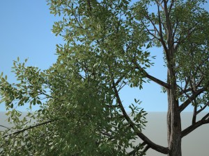 tree no 3 3D-Modell