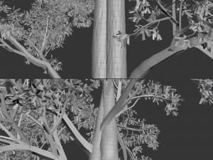 tree no 3 3D-Modell