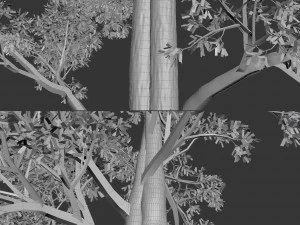 albero n.3 Modello 3D