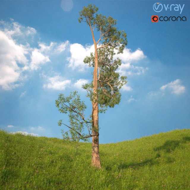 tree no 4 Modelo 3D .c4d .max .obj .3ds .fbx .stl .blend 