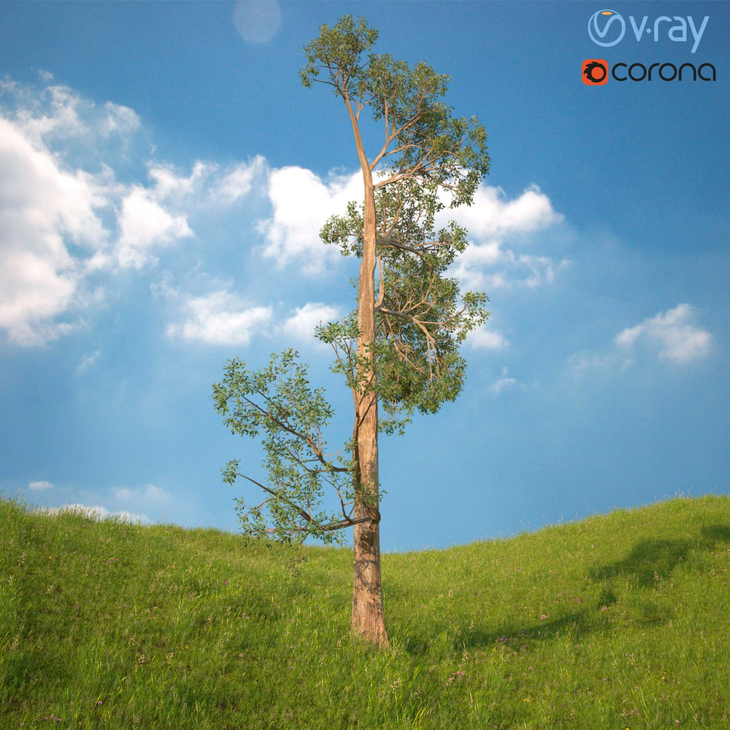 albero n.4 Modello 3D .c4d .max .obj .3ds .fbx .stl .blend 