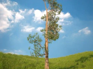 पेड़ नं 4 3D मॉडल