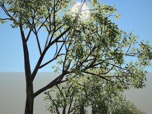 tree no 4 Modelo 3D