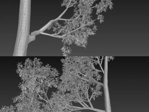 albero n.4 Modello 3D