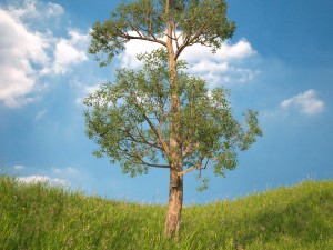 tree no 2 3D-Modell