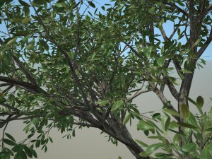 tree no 2 3D Model