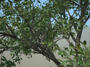 tree no 2 3D Model