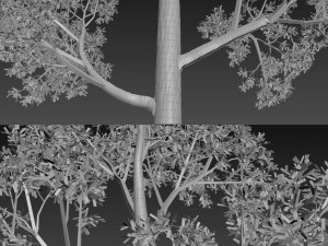 tree no 2 3D Model