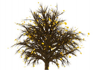bush no 2 3 seasons 3D Model