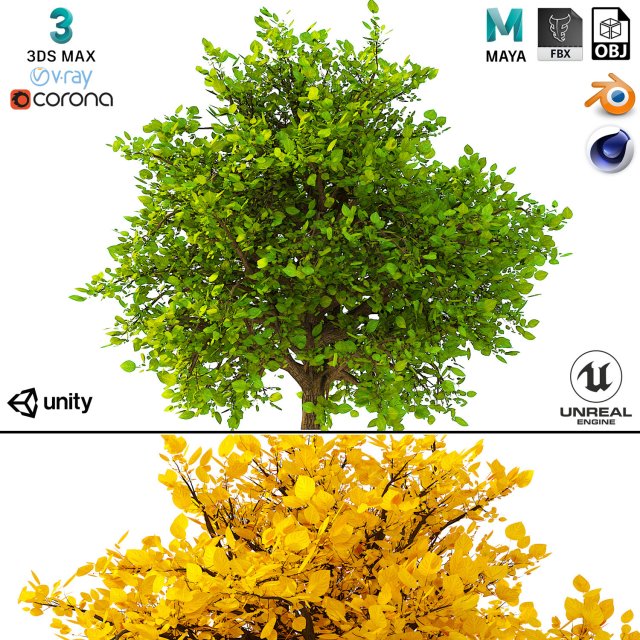 bush no 2 3 seasons 3D Model .c4d .max .obj .3ds .fbx .stl .blend 