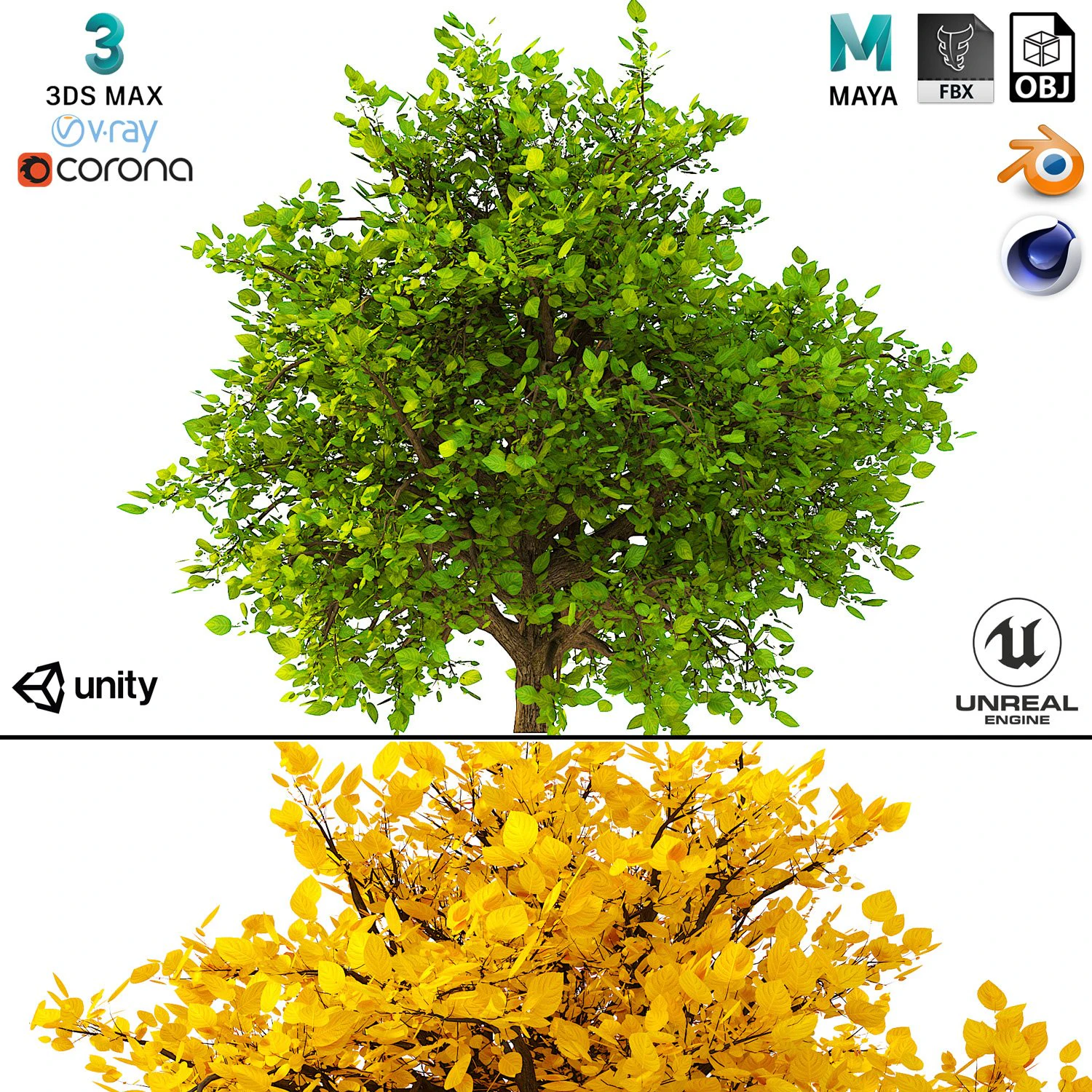 bush no 2 3 seasons 3D Model .c4d .max .obj .3ds .fbx .stl .blend