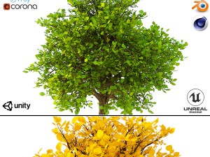 bush no 2 3 seasons 3D-Modell