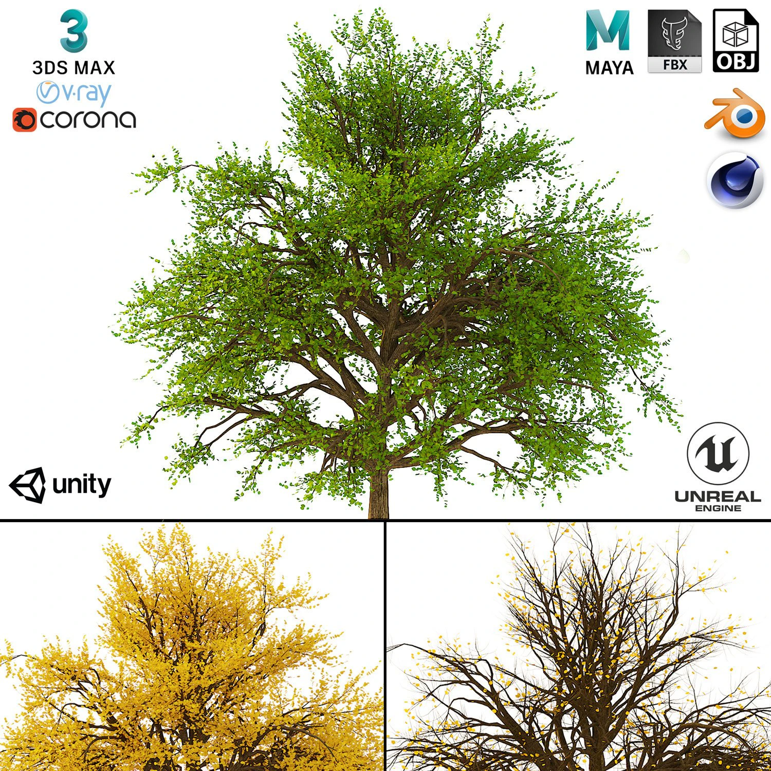 bush no 1 3 seasons 3D Model .c4d .max .obj .3ds .fbx .stl .blend 