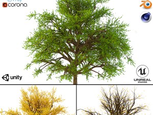 bush no 1 3 seasons 3D-Modell