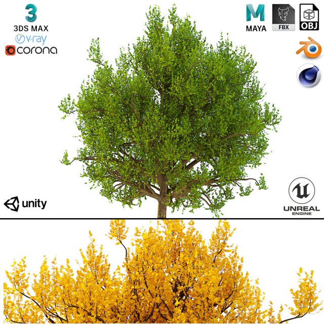 bush no 3 3 seasons 3D Model .c4d .max .obj .3ds .fbx .stl .blend 