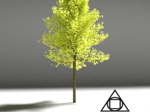 realistic tree 2 3D Model