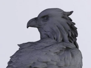 eagle 3D Model