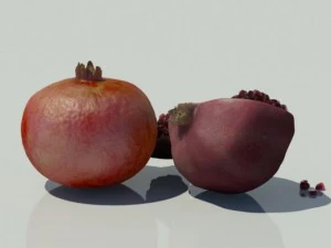 pomegranate 3D Model