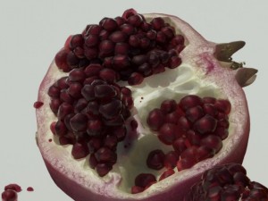 pomegranate Modello 3D
